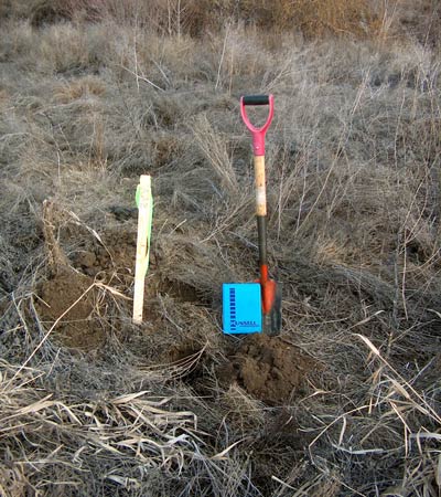 munsell soil sample